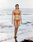 Raquel Welch Photo