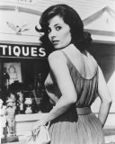 Barbara Parkins Photo