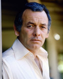 David Janssen Photo