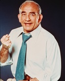 Edward Asner - Lou Grant Photo