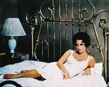 Elizabeth Taylor - Cat on a Hot Tin Roof Photo
