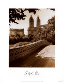 Central Park Bridge I Plakater af Christopher Bliss