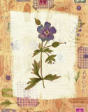 Posies with Patterns Posters by Vicki Bowman