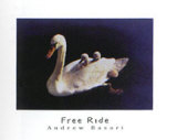 Free Ride Prints by Andrew Basari