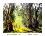 Eucalyptus Light Print van June Carey Eucalyptus Light Print van June Carey