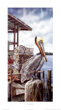 Pelican Key Print by James Harris
