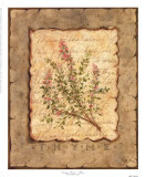 Vintage Herbs-Thyme Arte por Constance Lael Vintage Herbs-Thyme Arte por Constance Lael