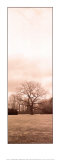Chestnut Tree Posters by Alan Blaustein