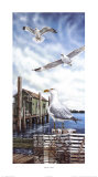 Seagull Key Poster by James Harris