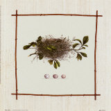 What a Nest Affiches