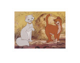 Abraham de Lacey Giuseppe Casey Thomos O - ©Disney Póster Abraham de Lacey Giuseppe Casey Thomos O - ©Disney Póster