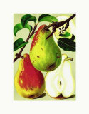 Marguerite Marillat Pears Posters