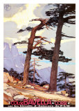 Korsika, Col de Bavella Kunstdrucke