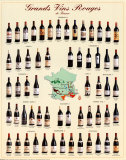 Die ausgezeichneten Rotweine Frankreichs Poster