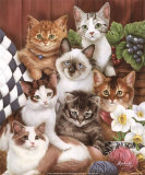 Kitties 2 Lámina por Jenny Newland