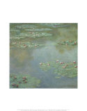 Waterlilies II 1907 Posters by Claude Monet