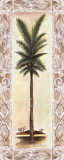 Palm III Prints by Alison Jerry