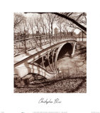 Central Park Bridge 3 Pósters por Christopher Bliss