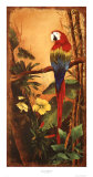 Exotic Birds II Prints by Mary Beth Zeitz