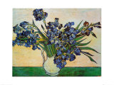 Vase of Irises, c. 1890, Art Print, Vincent van Gogh