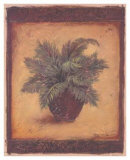 Sago Palm Print by Shari White