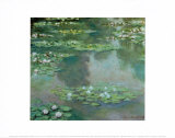 Nenúfares I 1905 Lámina por Claude Monet Nenúfares I 1905 Lámina por Claude Monet