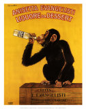 Anissetta Evangelisti, Liquore Da Dessert Plakater