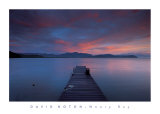 Weary Bay, Australia Posters by David Noton