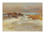 Shore Patterns Kunstdrucke von Fred Macneill