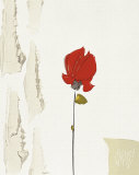 Petite Rose Rouge Láminas por Christian Choisy