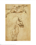 Leonardo da Vinci - Sketch of a Horse Reprodukce Leonardo da Vinci - Sketch of a Horse Reprodukce
