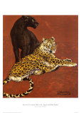 Jaguar and Black Panther Prints by Warwick Reynolds