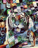 Mosaïque de tigres Affiches par Daniel Renn Pierce