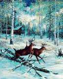 Deer, Winter Prints by Jeff Tift