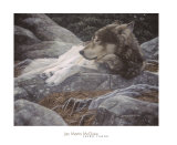 Rocky Realm Posters by Jan Martin McGuire