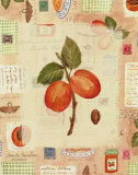 Fruits with Patterns Prints by Vicki Bowman