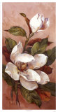 Magnolia Accents II Poster autor Barbara Mock Magnolia Accents II Poster autor Barbara Mock