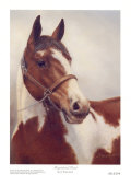 Portrait de cheval Posters par V. I. Thurmond