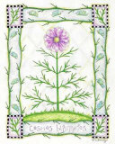 Amapola de campo Pósters por Robin Betterley