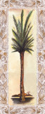 Palm IV Posters by Alison Jerry