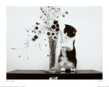 Creative Poster av Sharon Beals