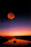 Lac Tahoe de nuit Affiches