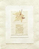 Leaves Prints by Nan Goss