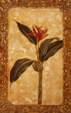 Ensueño tropical II Lámina por Elizabeth Jardine