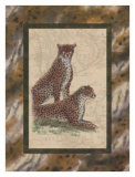 Cheetahs Prints by Janet Kruskamp