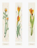 Blumen Motive Posters by Laszlo Kova