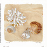 Shells IV Art by Judy Mandolf