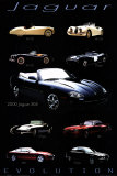 Jaguar Evolution Prints