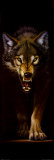 Wolf Posters