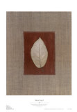 Silver Leaf I Prints by Franco D'ottore